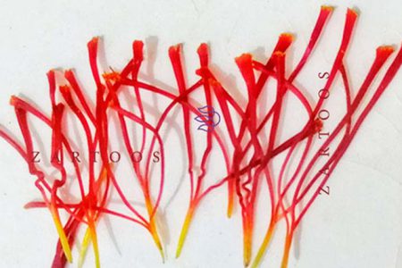 زرتوس زعفران