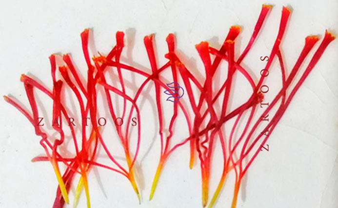 زرتوس زعفران