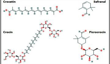 زرتوس زعفران